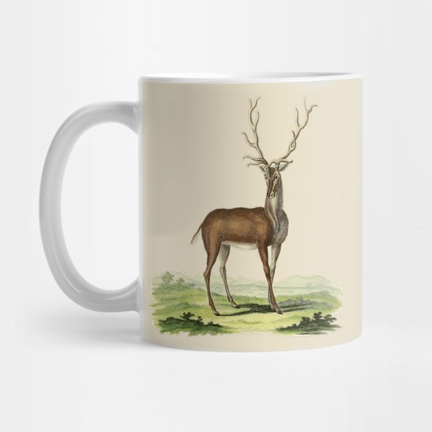 Deer Nature Illustration by Biophilia